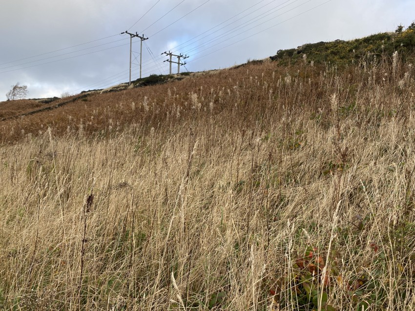 Images for Green Moor, Sheffield